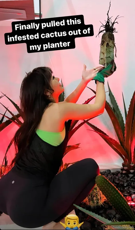 Sssniperwolf photo 14 of 1674
