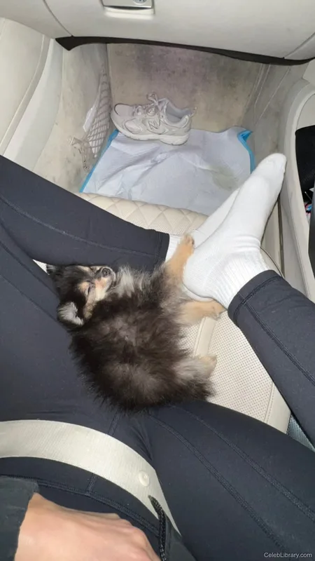 Sssniperwolf photo 13 of 1674
