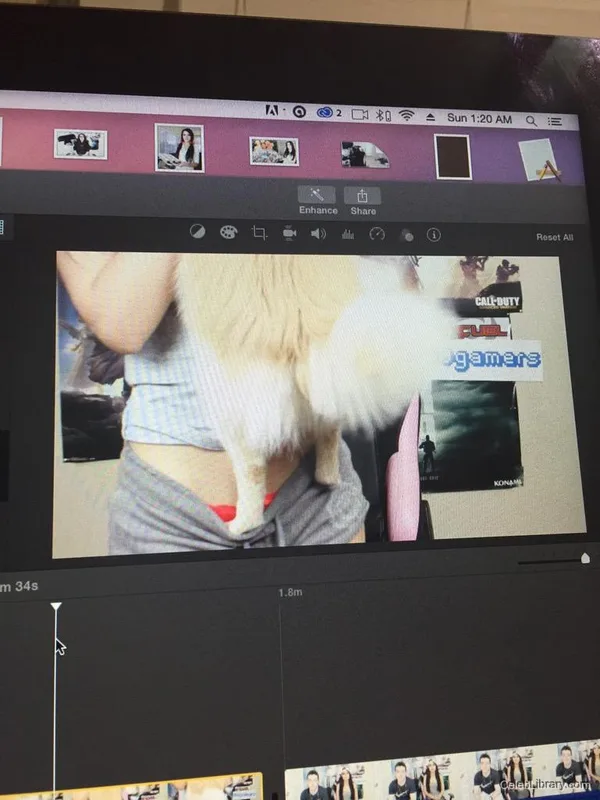 Sssniperwolf photo 16 of 1674