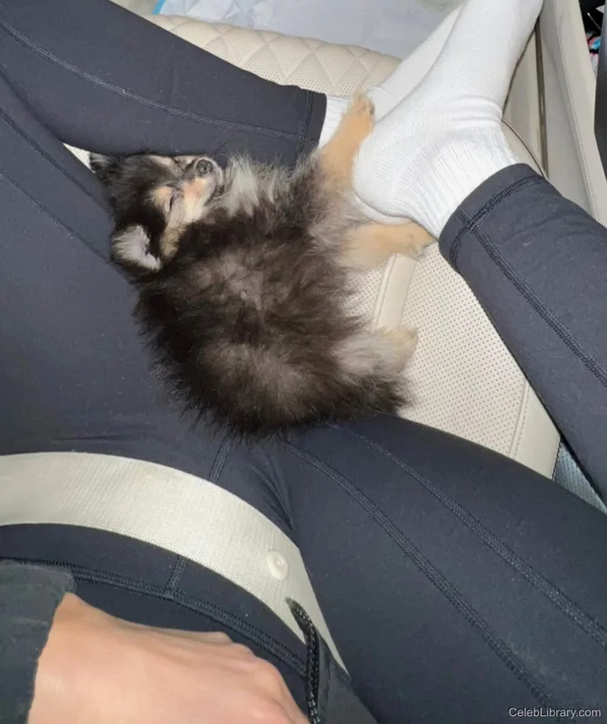Sssniperwolf photo 4 of 1674