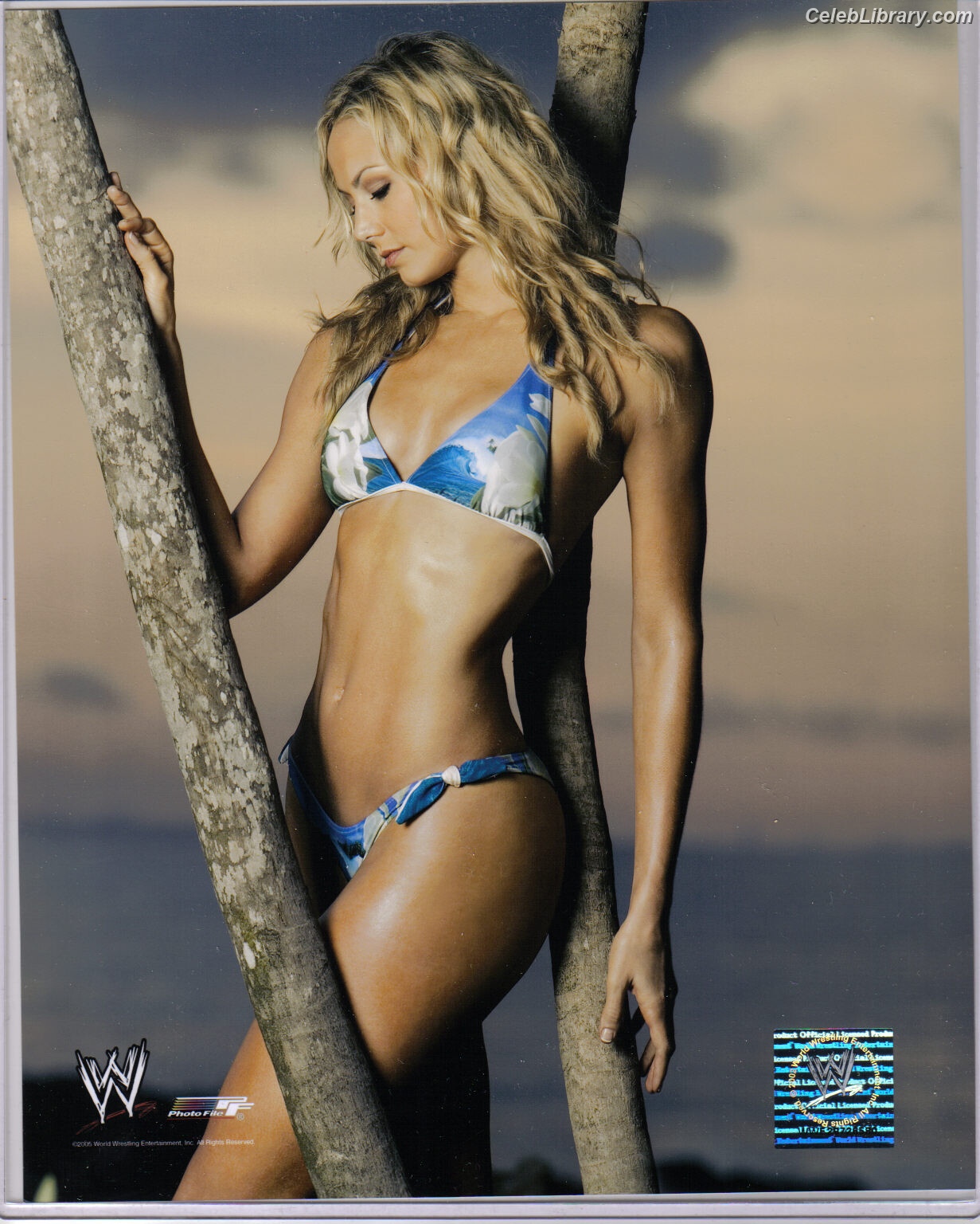 Stacy Keibler photo 24 of 786