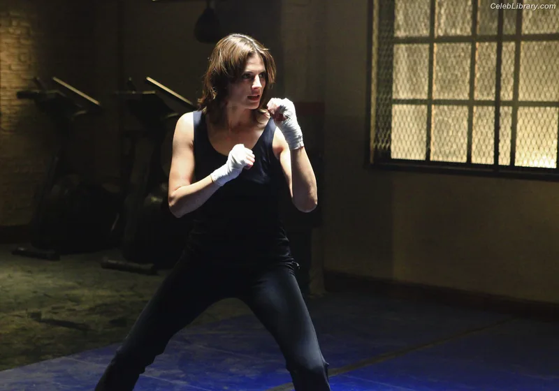 Stana Katic photo 16 of 107