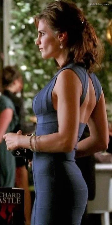Stana Katic photo 1 of 107