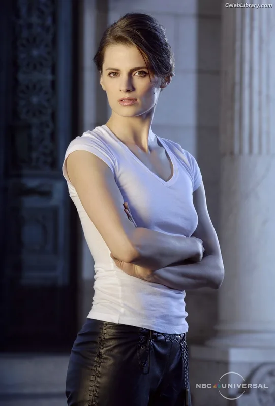 Stana Katic photo 22 of 107