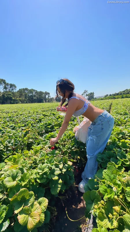 Stella Hudgens photo 13 of 1911