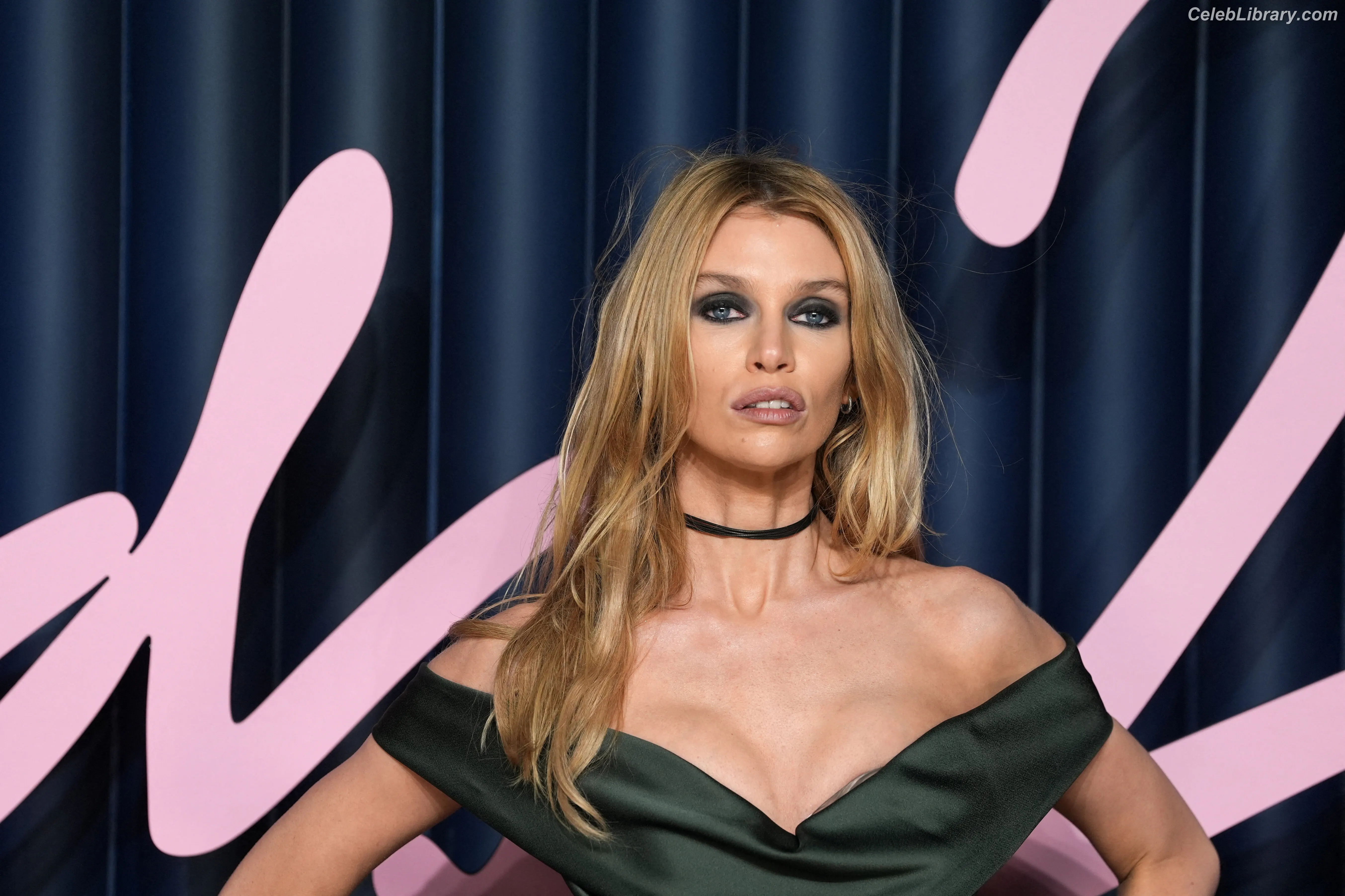 Stella Maxwell photo 11 of 1067