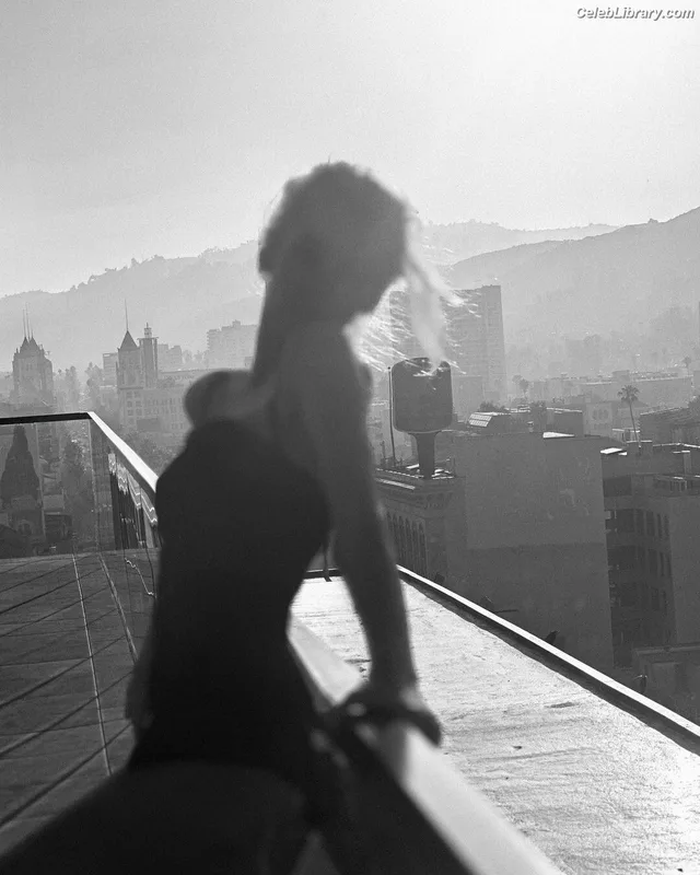 Stella Maxwell photo 17 of 1066