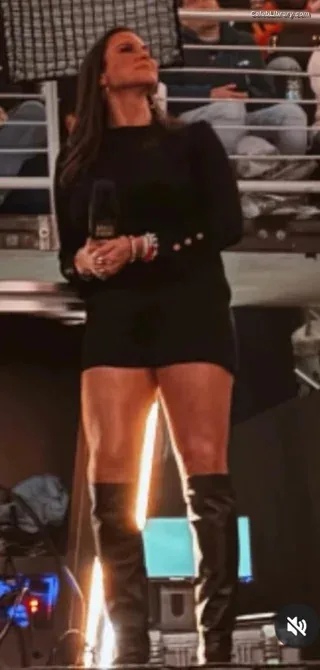 Stephanie McMahon photo 17 of 213