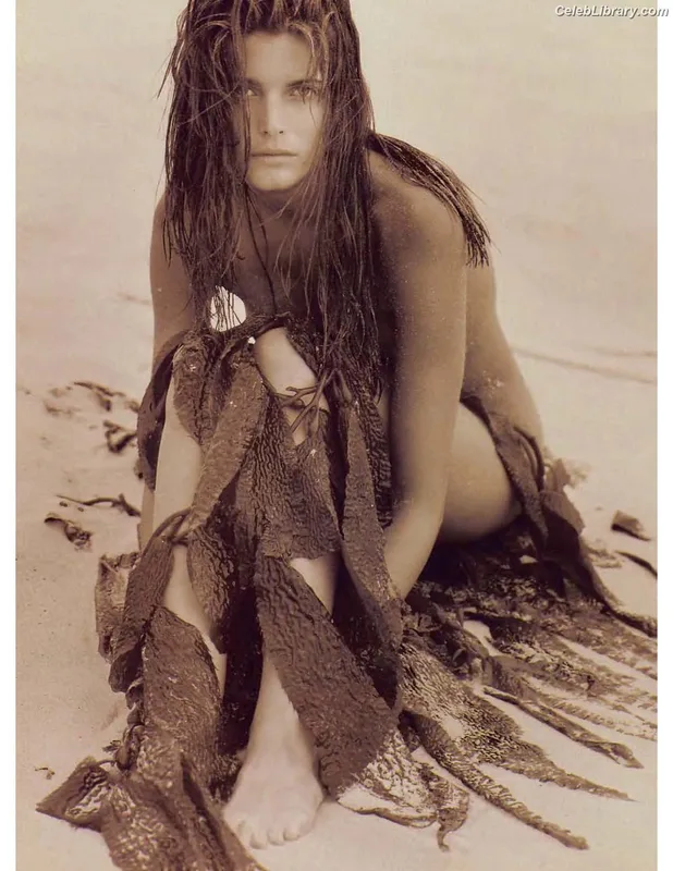 Stephanie Seymour photo 16 of 93