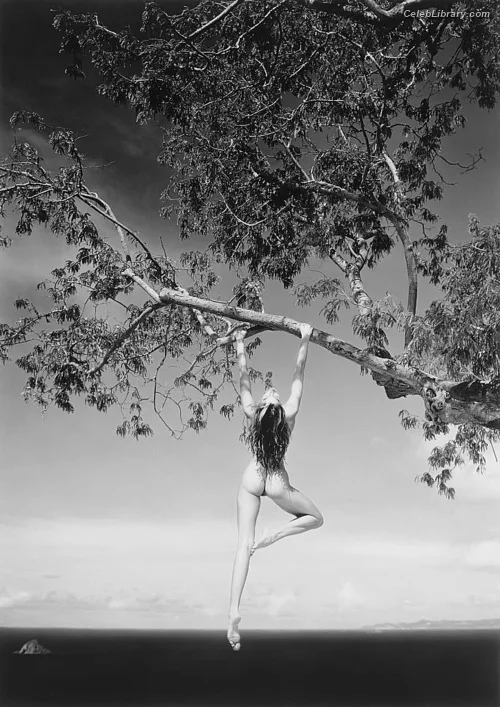 Stephanie Seymour photo 14 of 93