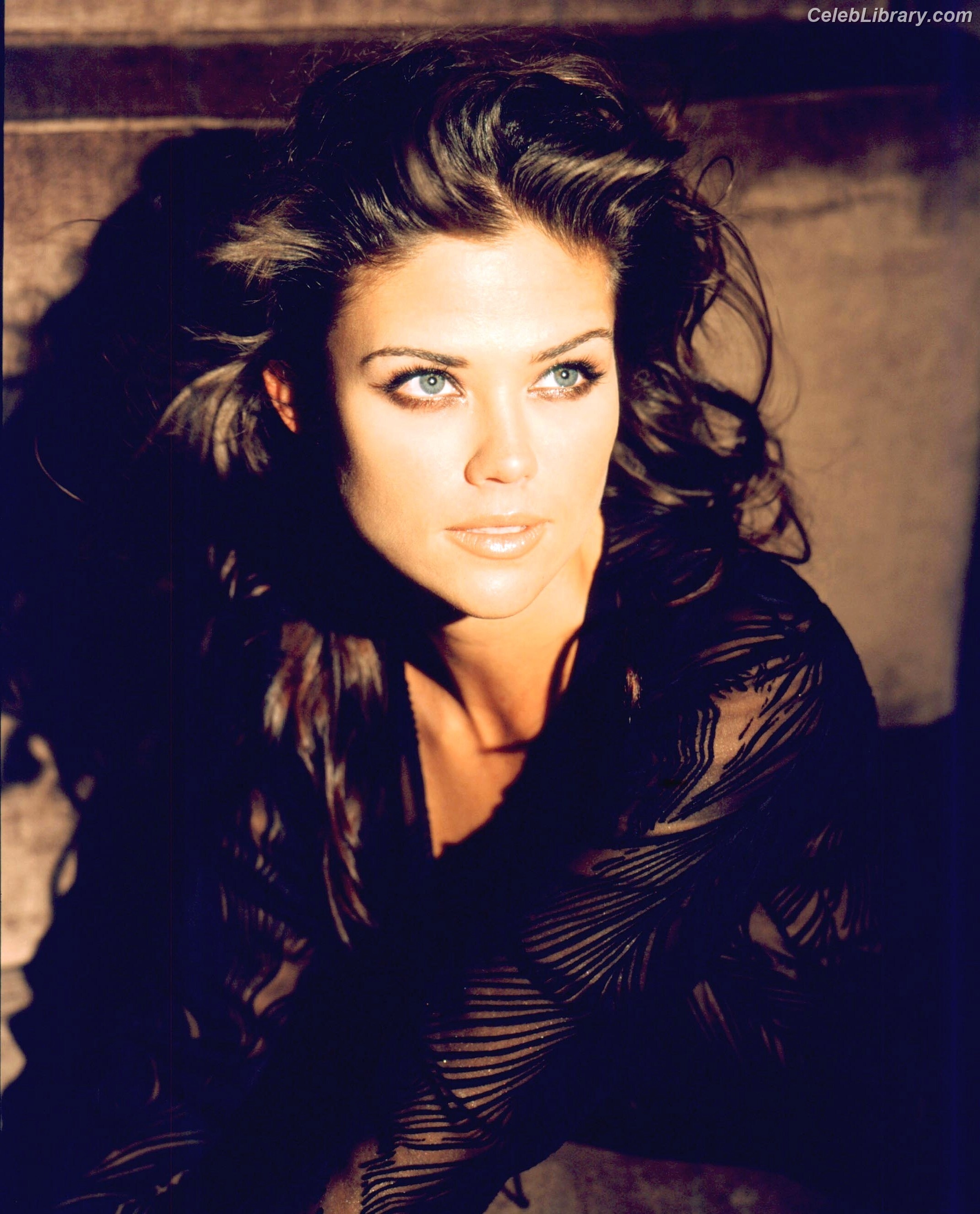 Susan Ward photo 18 of 49