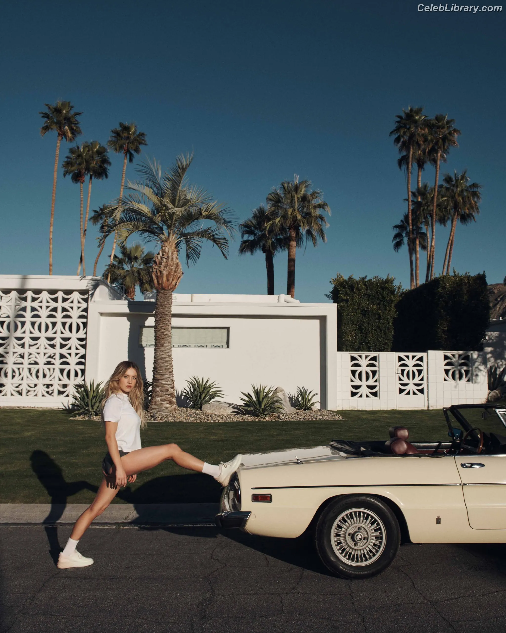 Sydney Sweeney photo 21 of 12030