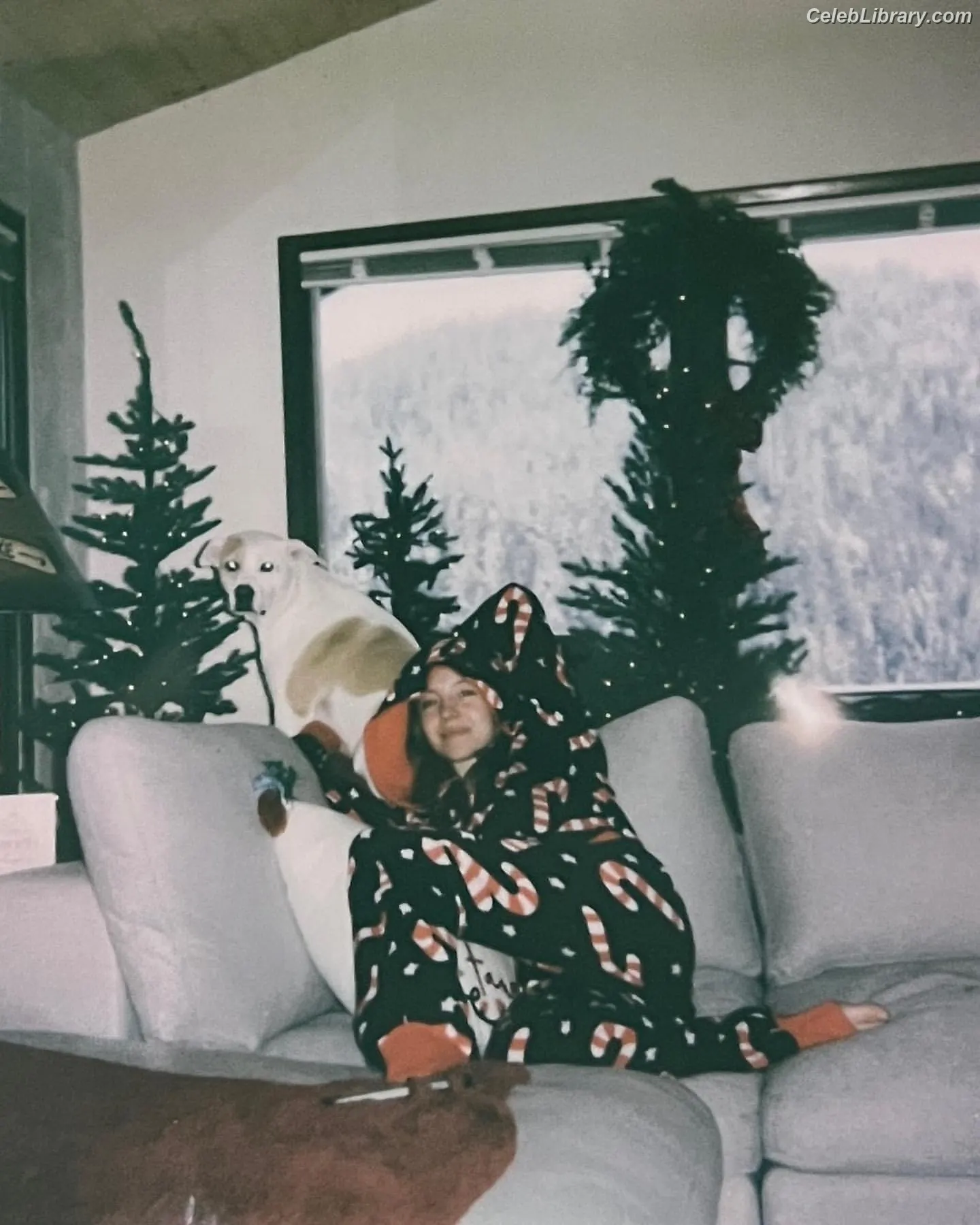 Sydney Sweeney photo 12 of 12030
