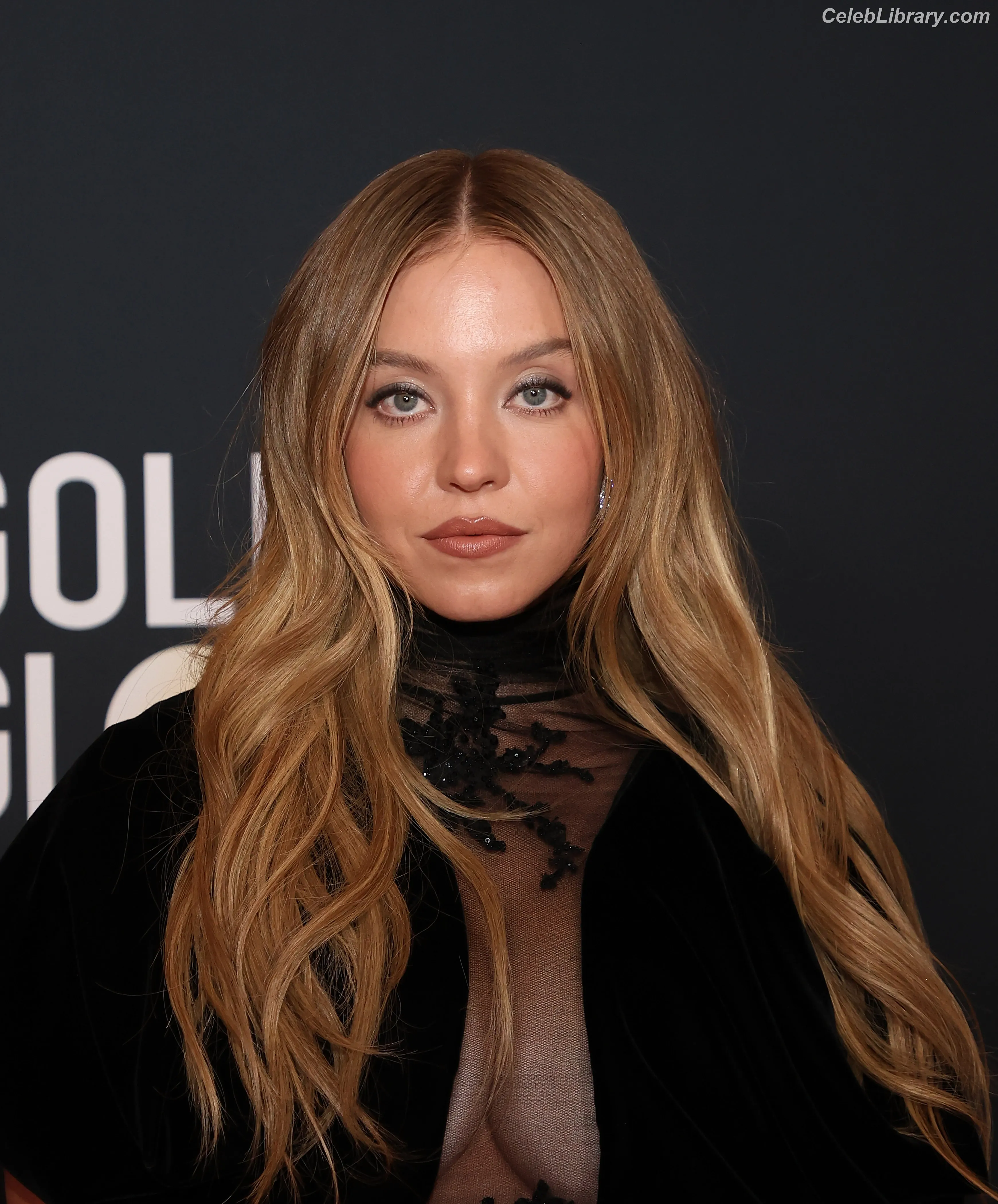 Sydney Sweeney photo 17 of 12030