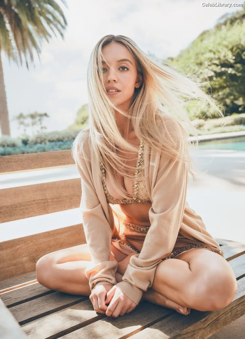 Sydney Sweeney photo 12 of 12030