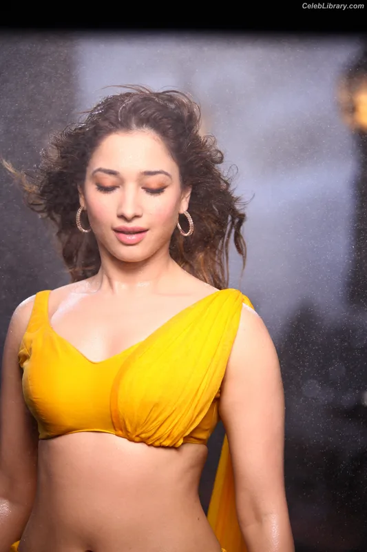 Tamanna Bhatia photo 16 of 245