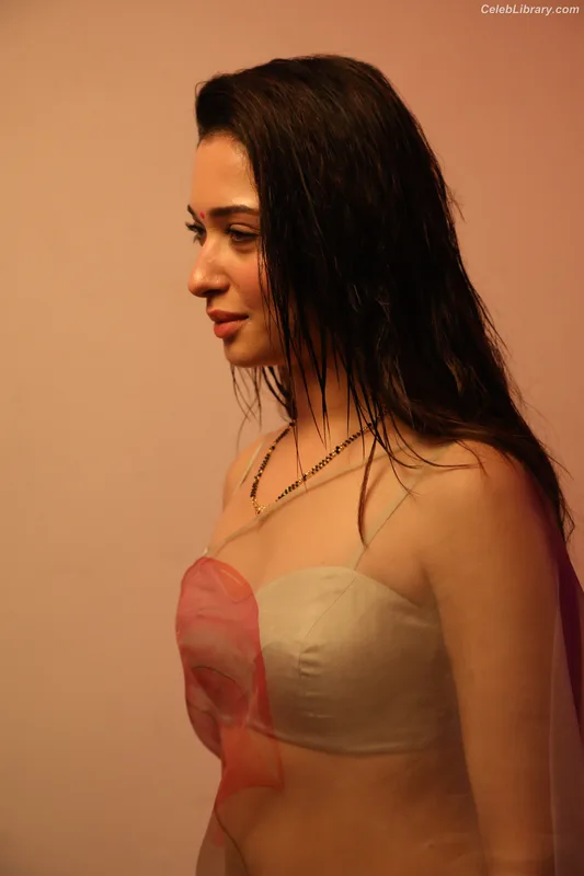 Tamanna Bhatia photo 3 of 245