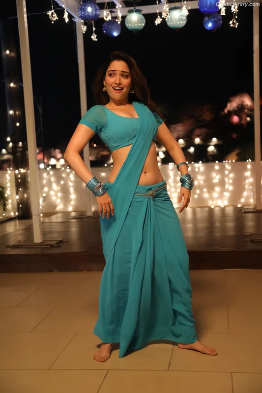 Tamanna Bhatia photo 13 of 245