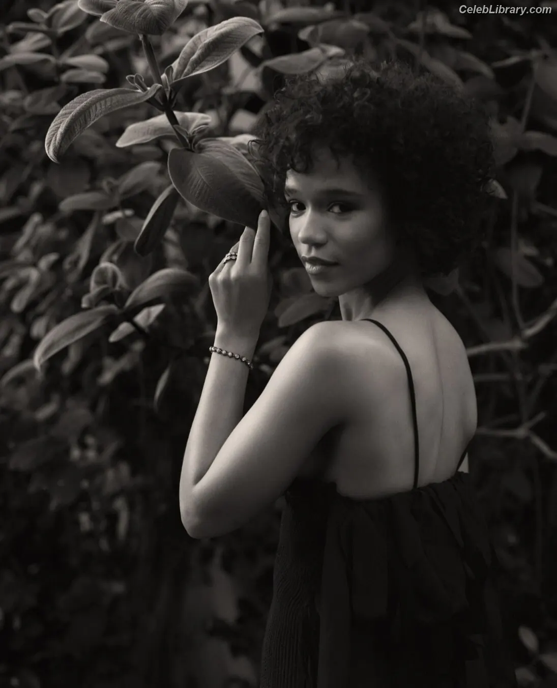 Taylor Russell photo 7 of 263