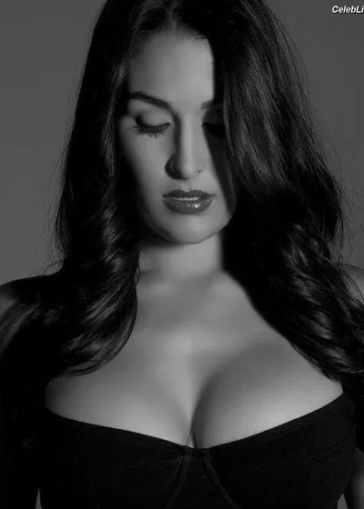 The Bella Twins