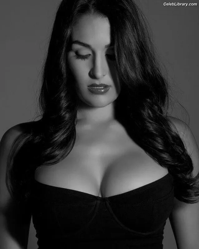 The Bella Twins photo 1 of 1421