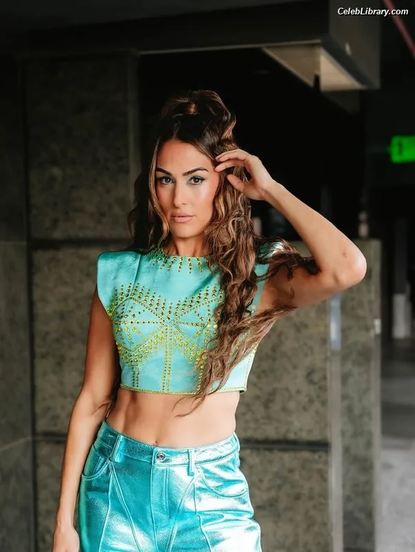 The Bella Twins photo 18 of 1421