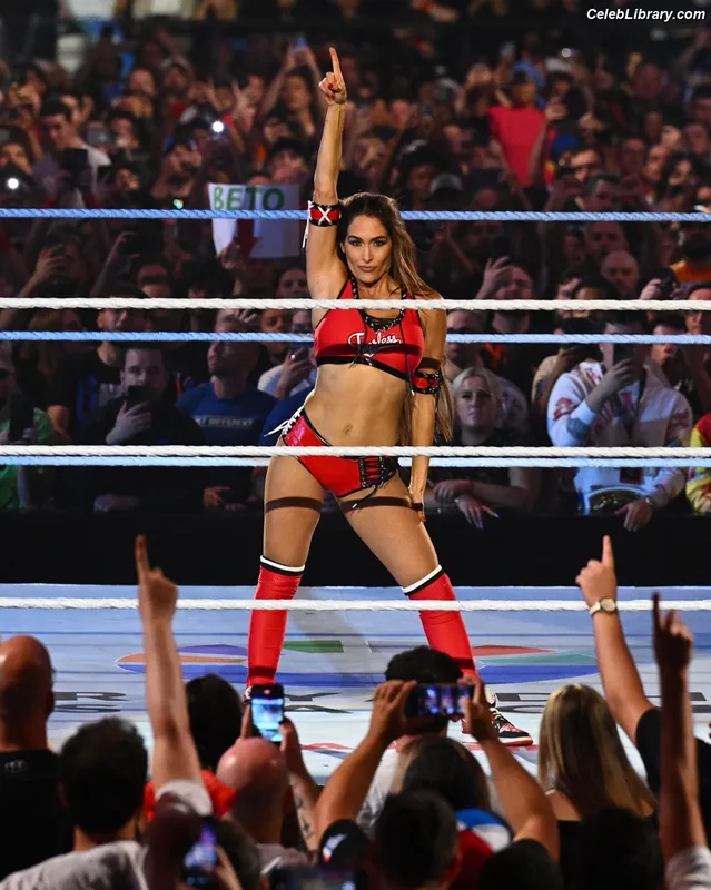 The Bella Twins photo 22 of 1421