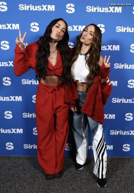 The Bella Twins photo 13 of 1421