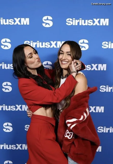The Bella Twins photo 21 of 1421