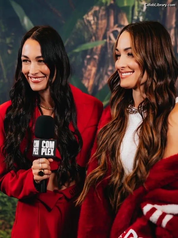 The Bella Twins photo 14 of 1421