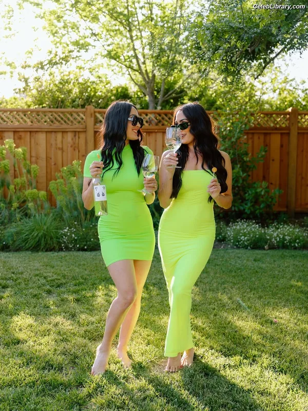 The Bella Twins photo 22 of 1421