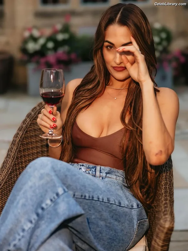 The Bella Twins photo 1 of 1421
