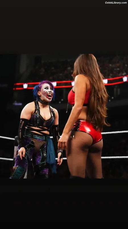 The Bella Twins photo 10 of 1421