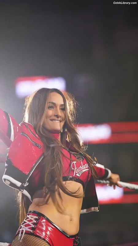The Bella Twins photo 13 of 1421