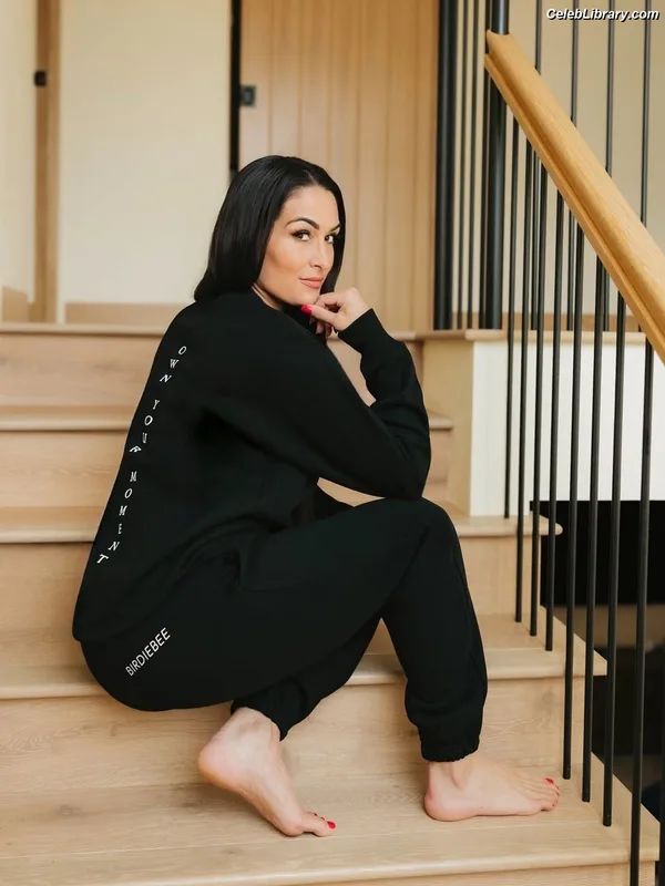 The Bella Twins photo 17 of 1421