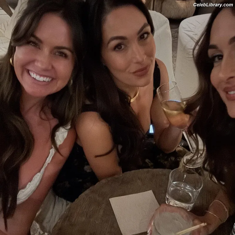 The Bella Twins photo 24 of 1421