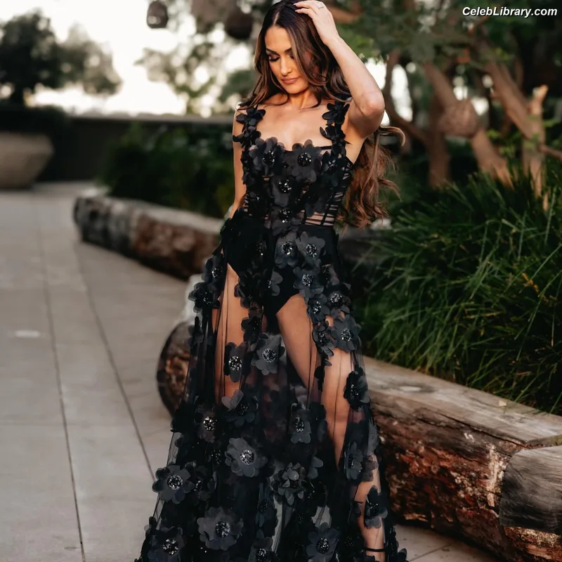 The Bella Twins photo 9 of 1421