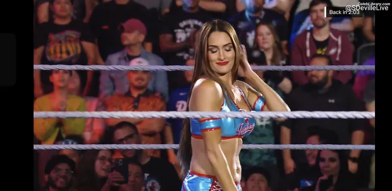The Bella Twins photo 4 of 1421