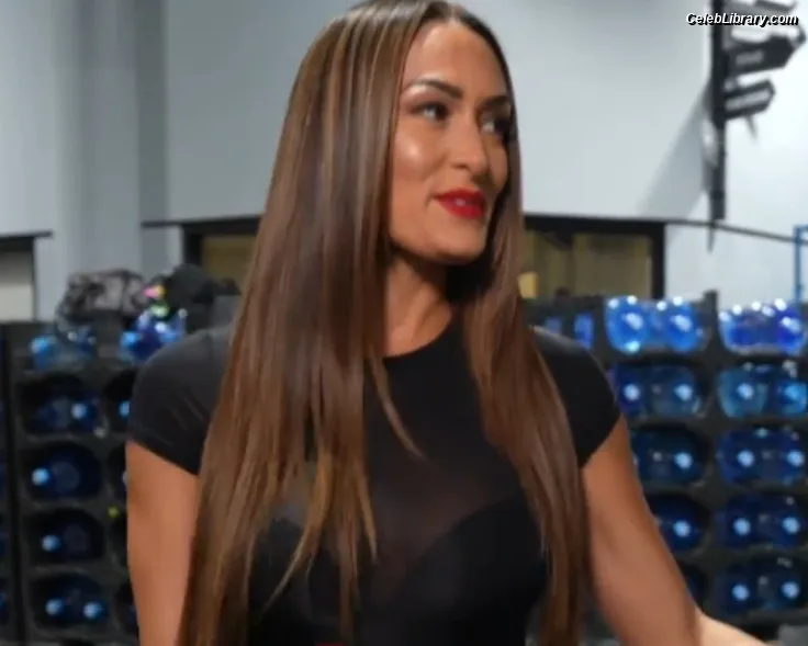 The Bella Twins photo 12 of 1421