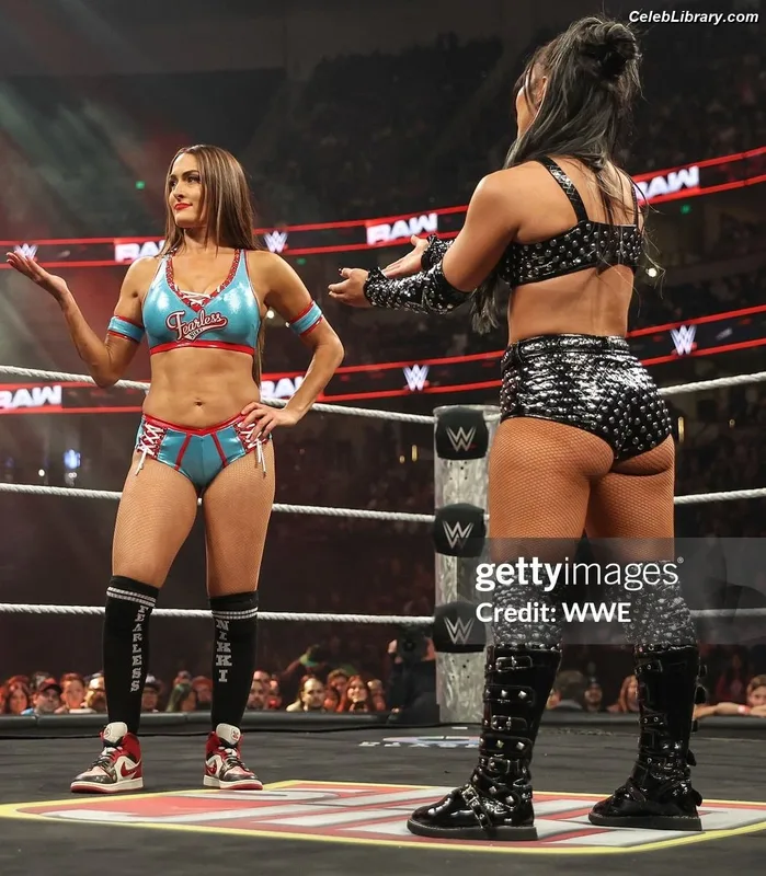 The Bella Twins photo 2 of 1421