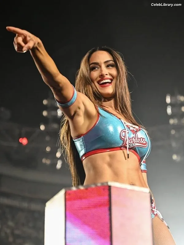 The Bella Twins photo 13 of 1421