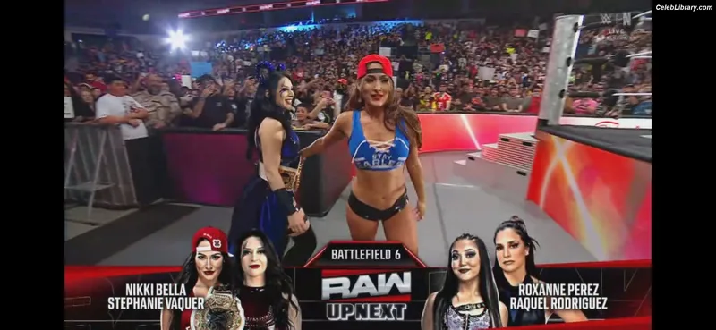 The Bella Twins photo 20 of 1421