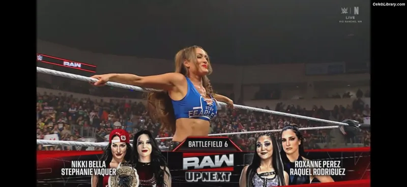 The Bella Twins photo 22 of 1421