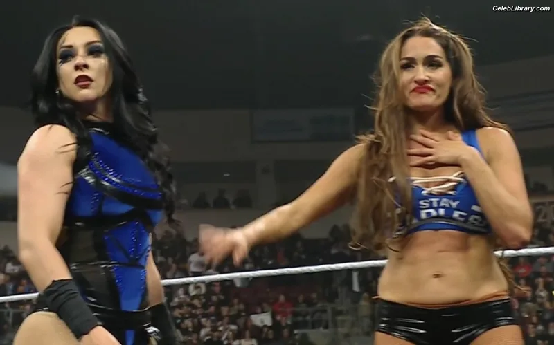 The Bella Twins photo 23 of 1421