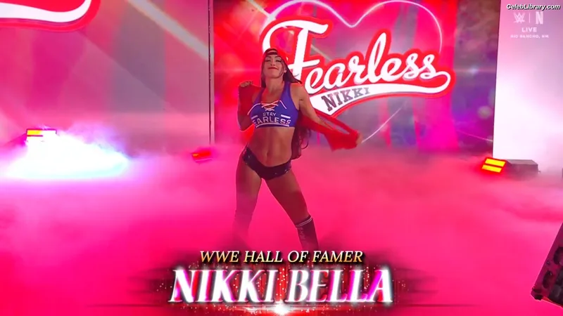 The Bella Twins photo 24 of 1421