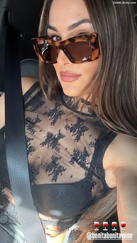 The Bella Twins photo 10 of 1421