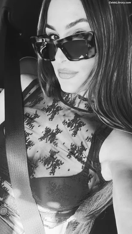 The Bella Twins photo 11 of 1421