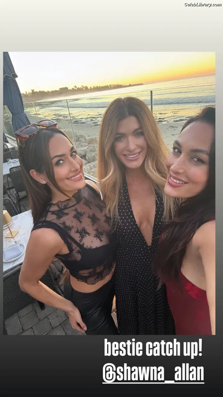 The Bella Twins photo 12 of 1421