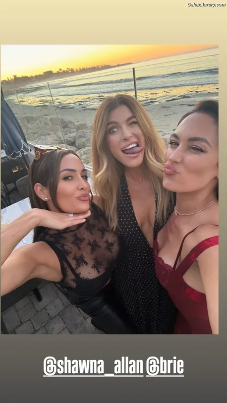 The Bella Twins photo 1 of 1421