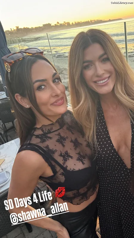 The Bella Twins photo 2 of 1421